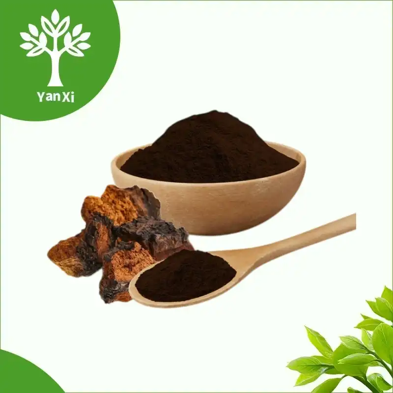Chaga Mushroom Extract Powder Chaga Mushroom Extract Powder